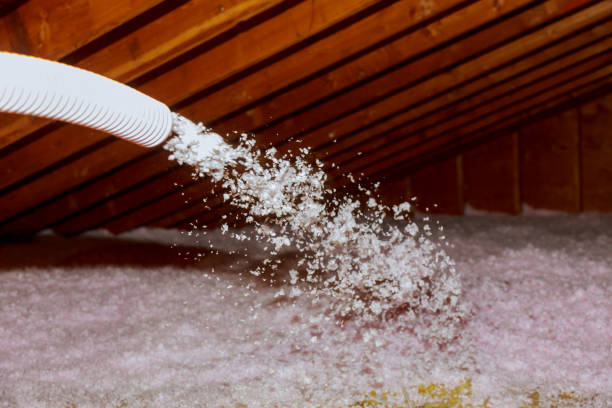 Best Attic Insulation Installation  in Governors Clu, NC