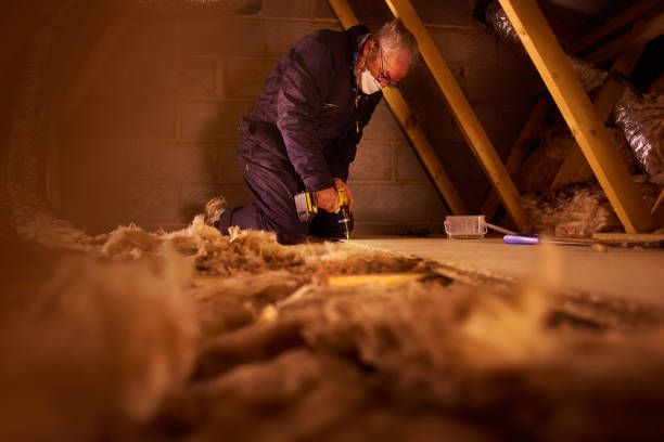 Best Insulation Contractors for Homes  in Governors Clu, NC