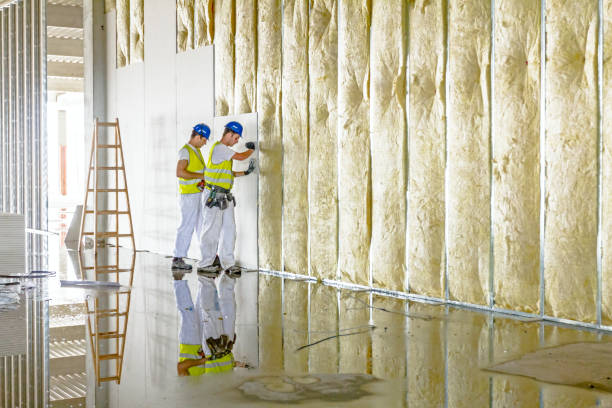 Best Spray Foam Insulation  in Governors Clu, NC